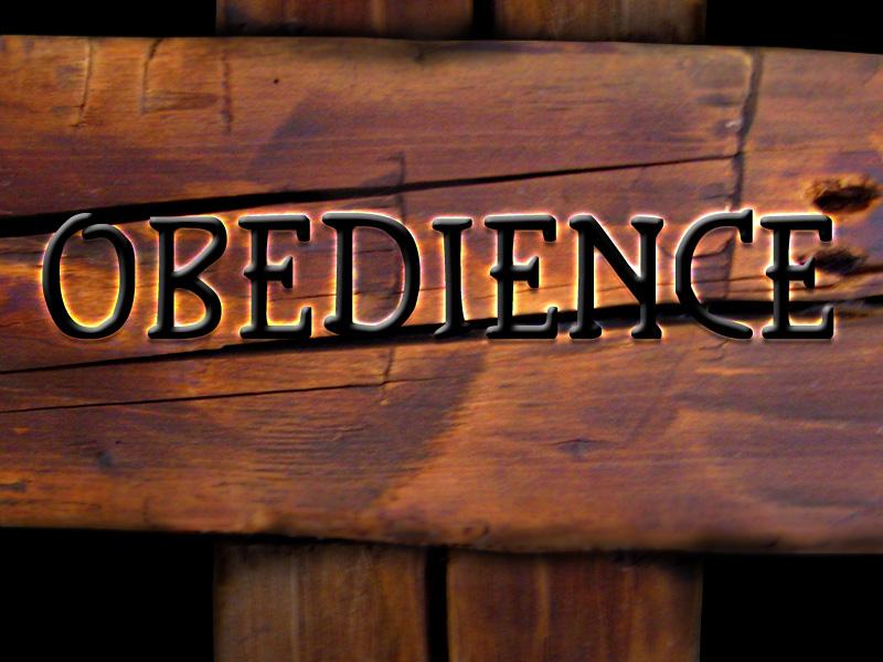 an-obedience-that-comes-from-faith-brad-hoffmann-s-blog